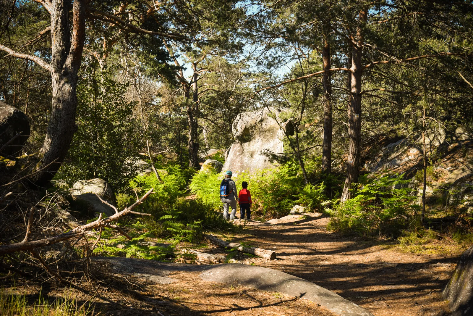 Fontainebleau : noblesse des lieux et qualité de vie